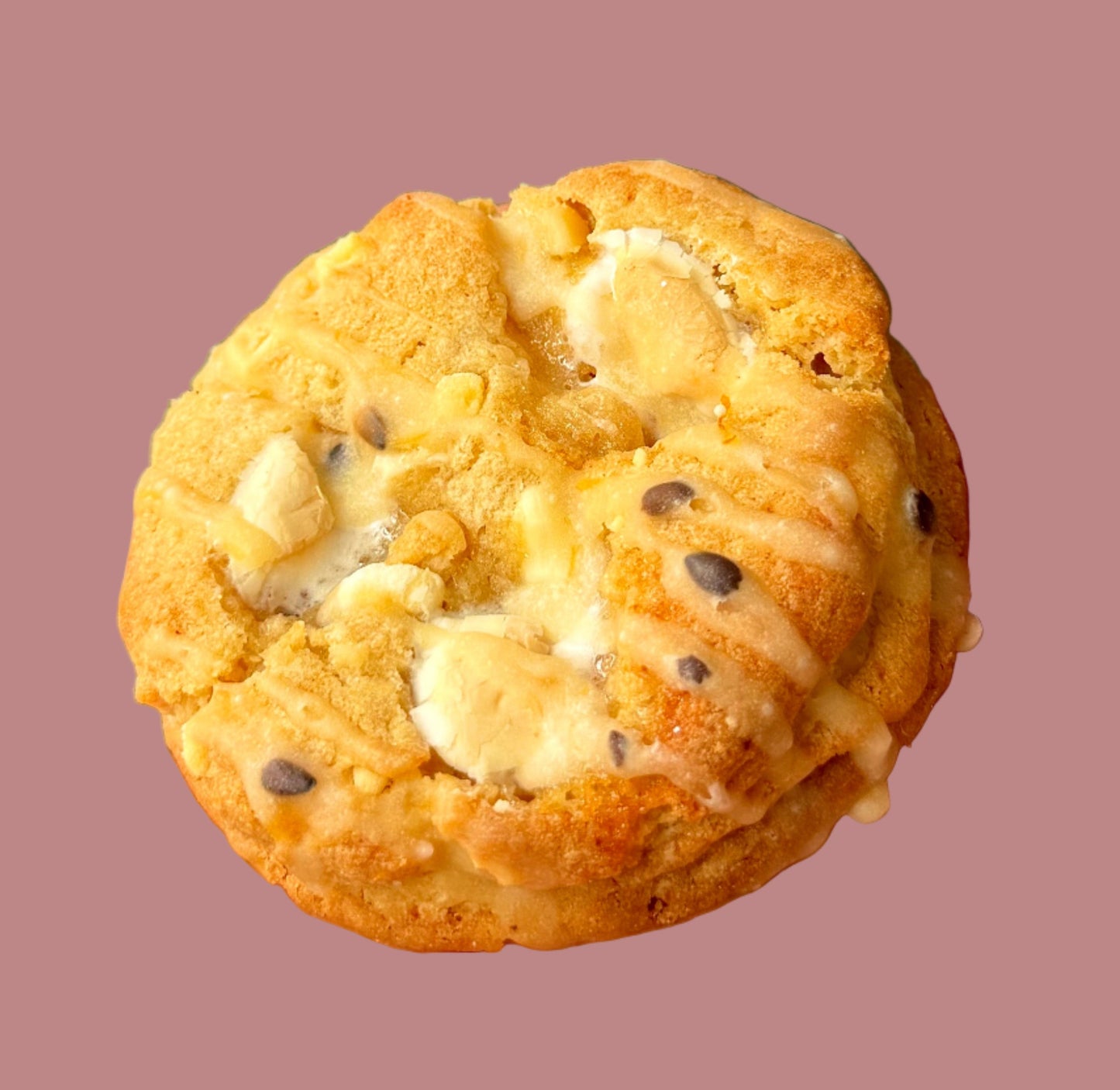 Christmas Cookie Collection- 6 pack